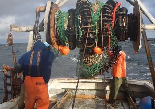 NE Fisheries Scientists Expect Drastic Changes as Gulf of Maine and Georges warm 7 to 9 degrees